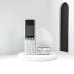 Grandstream WP810